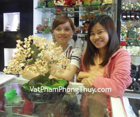 Chị Nghĩa - khách hàng mua cây tài lộc thạch anh vàng CA203