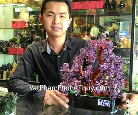Anh Vỹ - Khách hàng mua Cây tài lộc thạch anh tím HCA269 và Chuỗi phỉ thúy S984