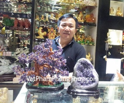 Anh Trí - Khách hàng mua cây tài lộc thạch anh tím KC032, bông thạch anh tím lớn H097-S3-16065, xâu 6 đế vương CC1135