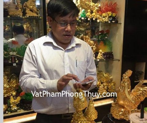 Anh Dũng - Khách hàng mua Gia đình gà G011A