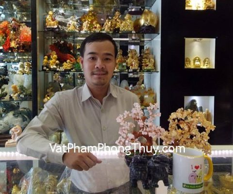 Anh Nguyên - khách hàng mua Tỳ hưu Bắc Kinh đen chuẩn BKD-S, cây tài lộc thạch anh vàng KC038, cây tài lộc thạch anh hồng KC045