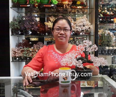Chị Tố Uyên - khách hàng mua cây tài lộc thạch anh trắng gốc đẹp KC080