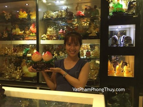 Vợ chồng anh Hoàng - khách hàng mua cặp song đào hồng trắng H337G