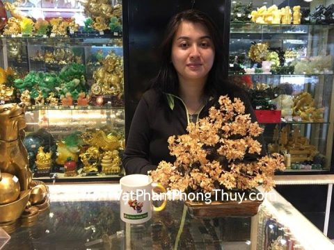 Chị Ngọc - Khách hàng mua Cây tài lộc kiểu mới pháo hoa thạch anh vàng (trung) KC068