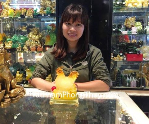 Chị Quỳnh - Khách hàng mua Gà mái lưu ly vàng ấp trứng G064A