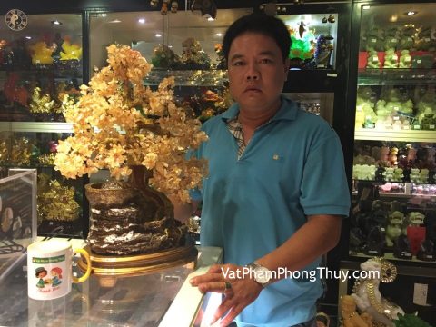Anh Dương - khách hàng mua cây tài lộc thạch anh vàng phong thủy luân KC035