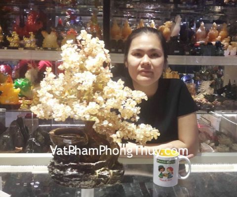 Chị Cương - khách hàng mua Cây tài lộc thạch anh vàng phong thủy luân KC035