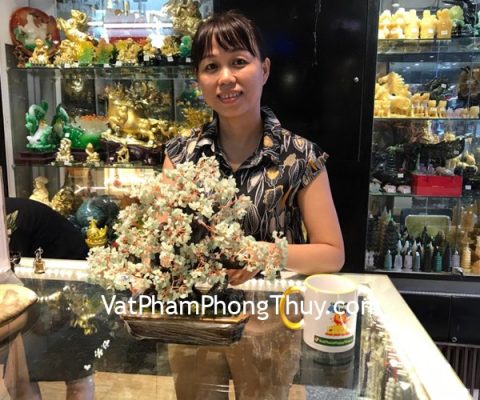 Chị Thơm - Khách hàng mua Cây tài lộc kiểu mới pháo hoa thạch anh xanh KC072