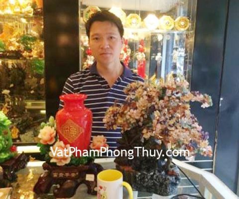 Anh Nam- khách hàng mua cây phong thủy luân nhiều màu KC001 và mẫu đơn đỏ bình an G122A