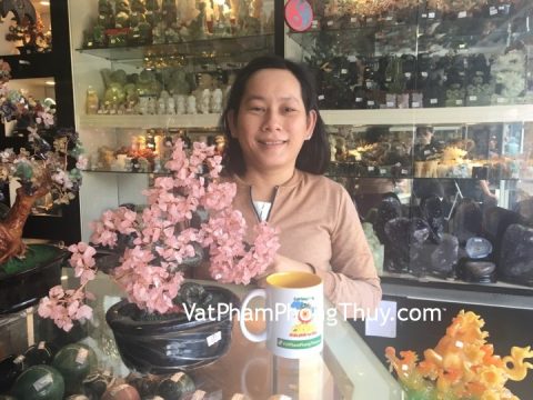 Chị Việt - khách hàng mua cây tài lộc thạch anh hồng KC078