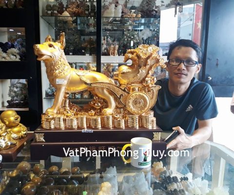 Anh Thịnh - khách hàng mua Chó vàng kéo bắp cải lớn C002A