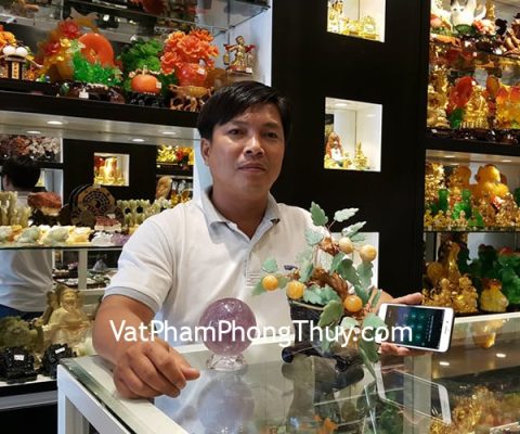 Anh Vinh - khách hàng mua cây quất Hoàng Long KC010 và quả cầu thạch anh tím GM142-5580