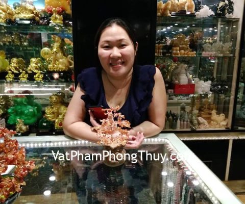 Chị Ánh - Khách hàng mua Cây tài lộc túi tiền mã não đỏ KC097