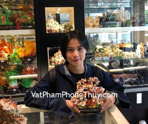 Chị Phương - khách hàng mua cây tài lộc nhiều màu KC024