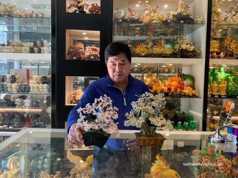 Chú Khánh-Khách hàng mua Cây đông linh thân đại thụ KC116 và Cây thạch anh trắng thân bonsai KC118.