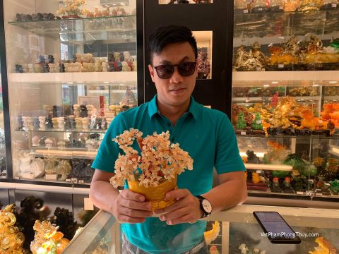 Anh Toàn - Khách hàng mua Cây thạch anh vàng gốc cổ thụ  KC106.
