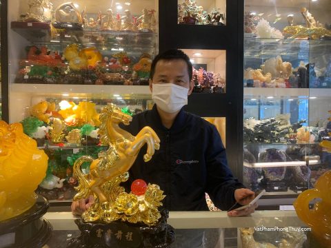 Anh Dũng - Khách hàng mua Vua ngựa vàng trên núi mẫu đơn hồng ngọc LN128.