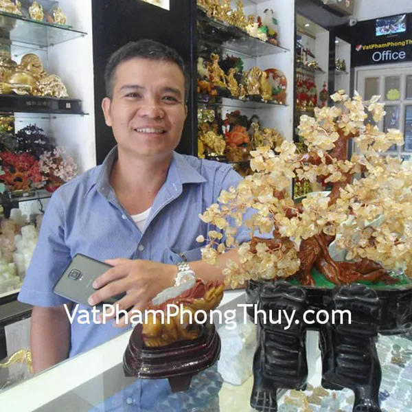Anh Giang - khách hàng mua tỳ hưu hắc ngà H011, thiềm thừ hoàng long tam thể TT-HL-3950 và cây tài lộc HCA263