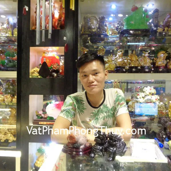 Anh Bảo - khách hàng mua Thiềm thừ ngọc Hoàng long tam thể TT-HL-S4-7454, Cặp tỳ hưu thạch anh đen HM010, Chuỗi đá mắt mèo S6099, Tỳ hưu trên lá thạch anh đen S779