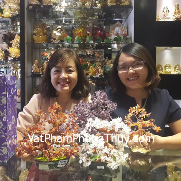 Chị Thảo - Khách hàng mua cây tài lộc thạch anh tím KC028