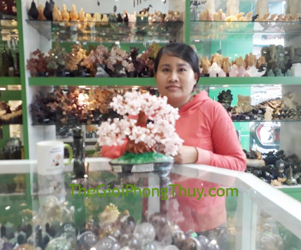 Chị Trâm - Khách hàng mua Rồng xanh lam ngọc FGM039, Đĩa thất tinh 7 màu nhỏ FGM095, Cây tài lộc thạch anh hồng FKC085, Qủa cầu thạch anh trắng FGM148-F2-2748, Thiềm thừ đồng trung FD213, Tiền hoa mai liền FCC1139.