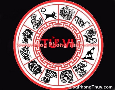 VẬN TRÌNH CỦA 12 TUỔI NĂM CANH DẦN (2010)