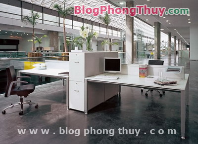 Ứng dụng Phong Thủy để cải tạo không gian làm việc