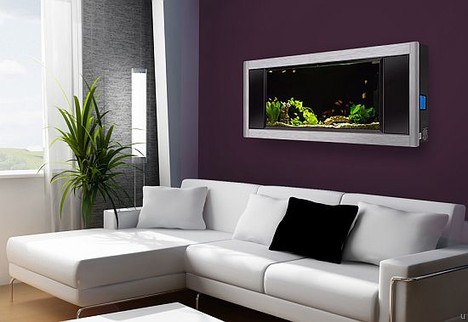 Bể cá treo tường phong thủy, đẹp, hiện đại và mang nhiều may mắn
