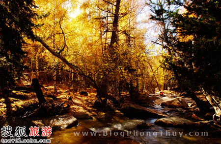 Rừng núi tân cương - trung quốc