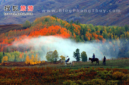 Rừng núi tân cương - trung quốc