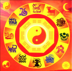 Tóm lược vận thời 12 tuổi trong năm Tân Mão (2011)