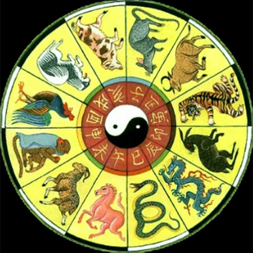 VẬN TRÌNH TUỔI DẦN NĂM TÂN MÃO (2011)