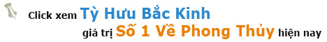 ads backinh1 Xuất hành, chọn tuổi xông nhà (xông đất), khai trương Tết Tân Mão 2011