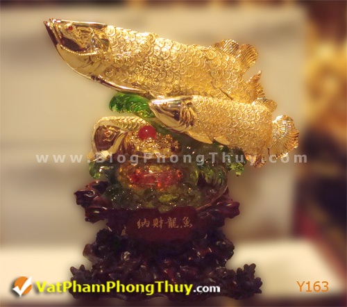 Cá Phong Thủy - biểu tượng của sự may mắn, giàu sang, phú quý với hơn 20 kiểu dáng đẹp