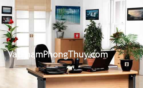 Vận khí hanh thông nhờ phong thủy