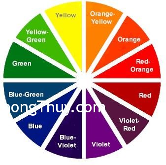 Chọn màu sắc theo thuật phong thủy trong kinh doanh