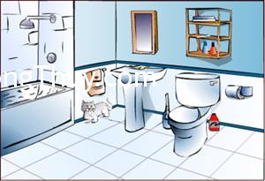 Phong thủy tốt nhất cho phòng tắm - vệ sinh