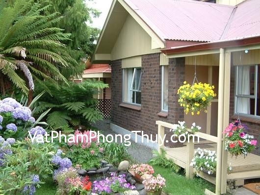 Cách trồng cây cảnh mang lại may mắn cho sân vườn