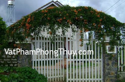 Vai trò của cửa chính và bếp theo phong thủy