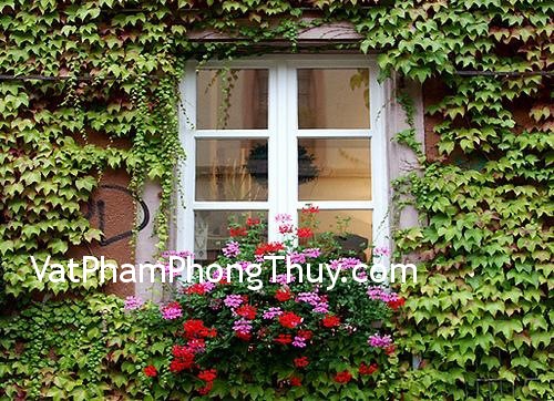Những lưu ý phong thủy khi thiết kế cửa sổ