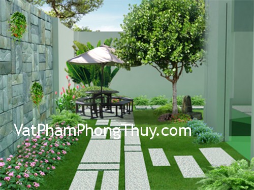 Chọn cây trồng hợp phong thủy cho nhà ở