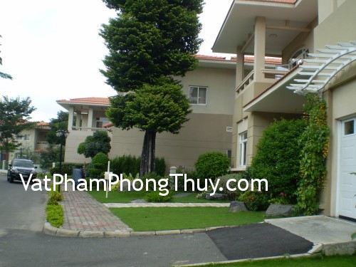 Trồng cây để hóa giải những bất lợi của ngôi nhà về mặt phong thủy