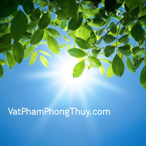 Vai trò của ánh sáng trong phong thủy