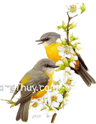 Cách treo tranh chim tương tư hợp phong thủy