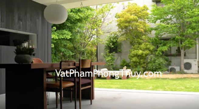 Cây to trước nhà tốt hay xấu ?
