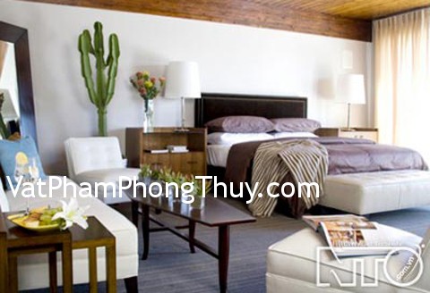 Cân nhắc khi bài trí hoa khô trong phòng ngủ