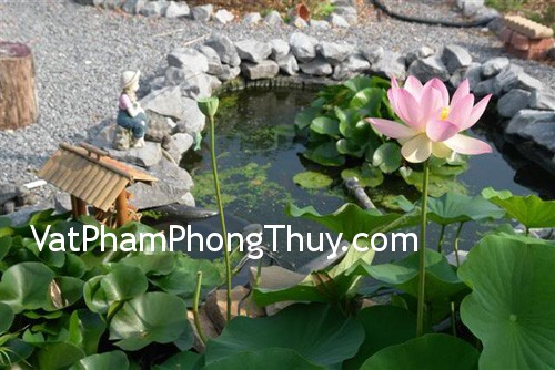 Cách bài trí hồ nước trong sân vườn hợp phong thủy