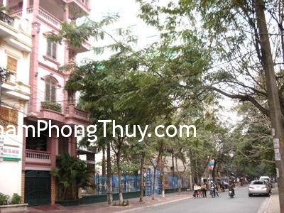 Cách hóa giải cho cây to án ngữ cửa nhà