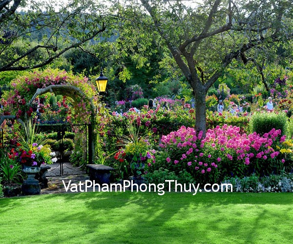 Phong thủy cho hương và sắc của khu vườn