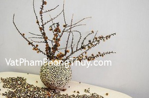 Cây chết có phải là điềm gở ?